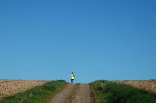 Furusndløbet 2015 - billede 1